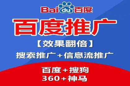 网络推广与竞价广告：双管齐下的策略案例